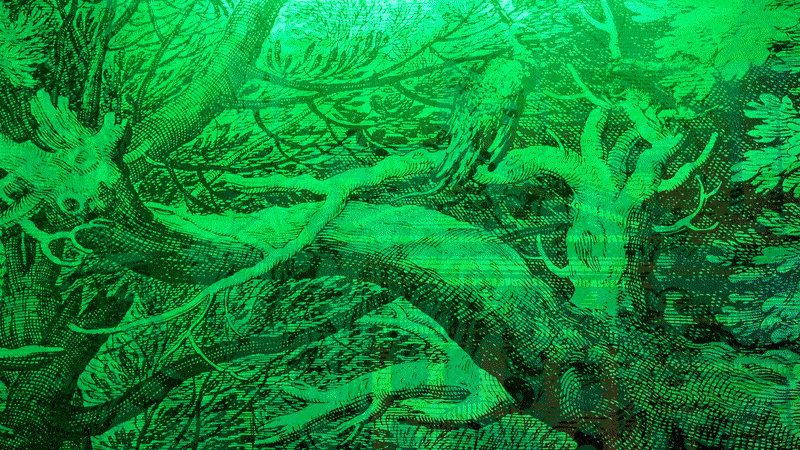 GIF of changing colors at the Museum of Illusions.