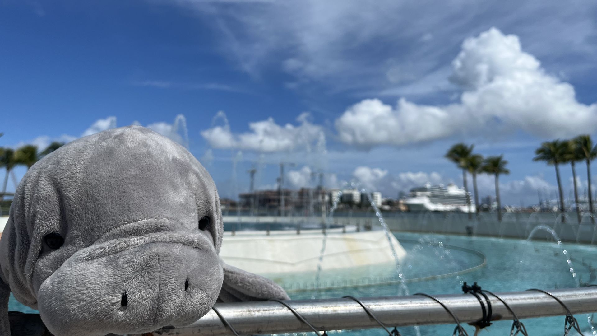 Manny the stuffed manatee posing in front of a body of water