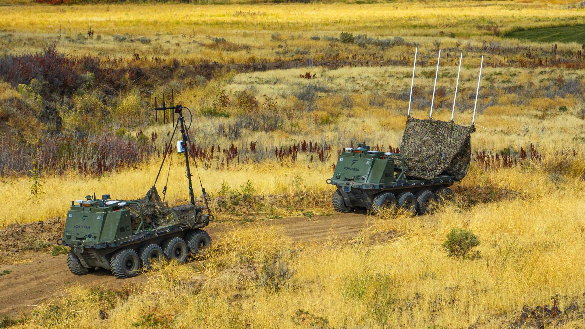Two green military unmanned ground vehicles on a dirt path in a dry grassy field, equipped with antennas and camouflage netting.