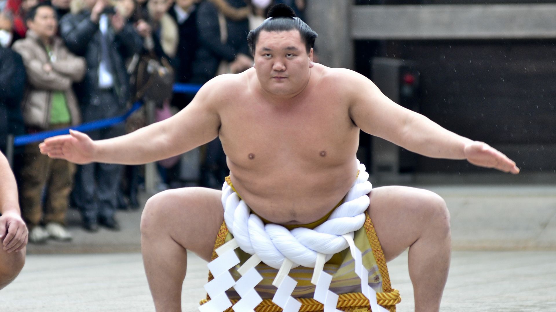 Sumo wrestler