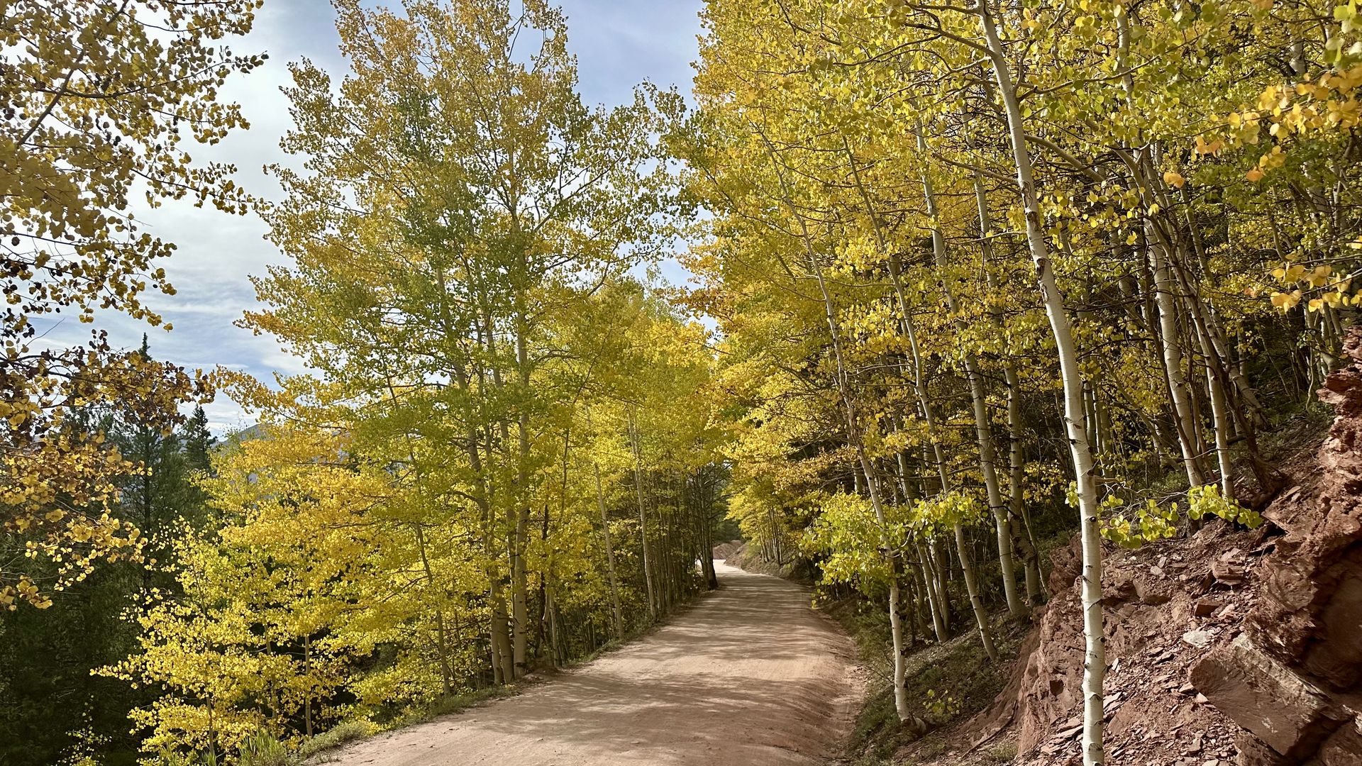 Fall colors off Boreas Pass road