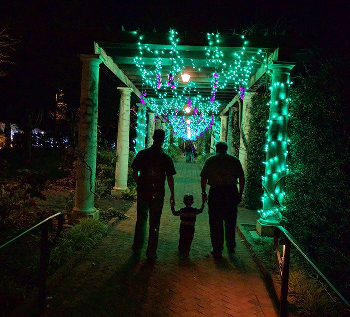 dsbg-lights-at-christmas