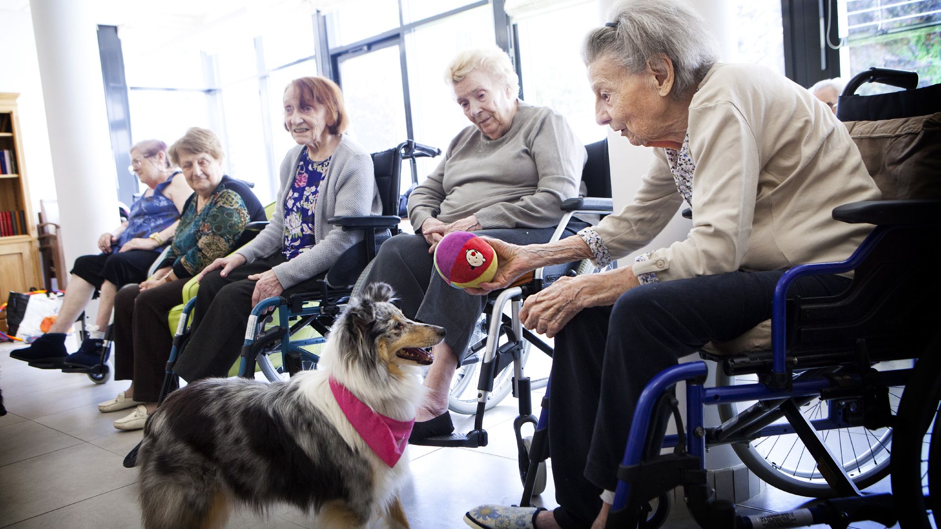 Senior citizens playing with a dog