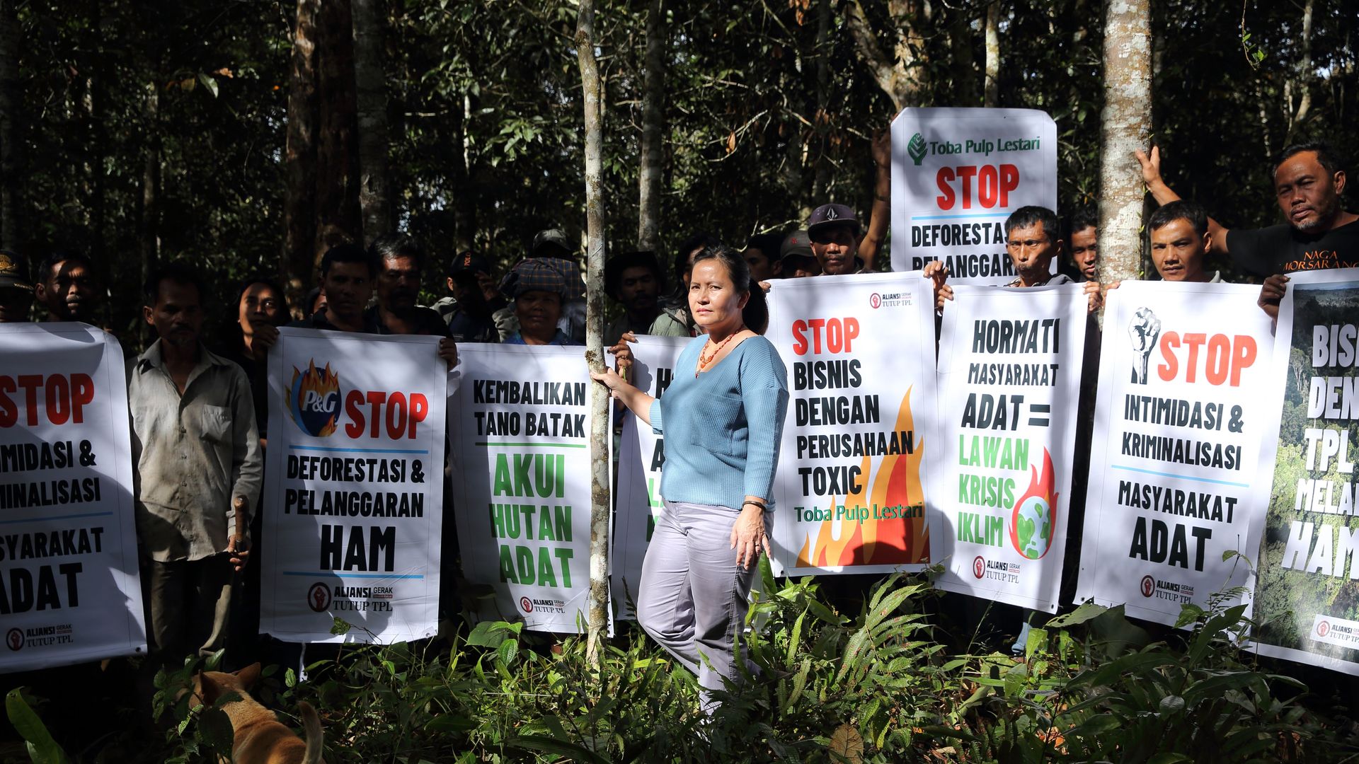 A woman stands in front of a cluster of campaign signs in a forest