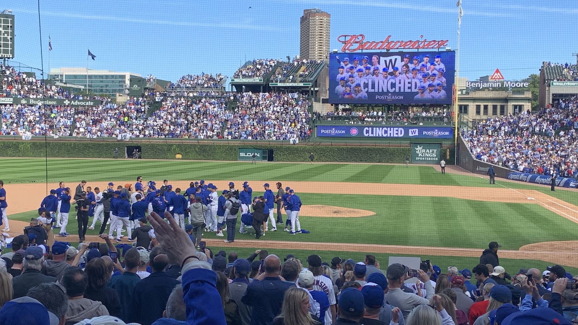 Crowd-filled baseball stadium on a sunny day. Players in blue gather on the infield as a large scoreboard shows CLINCHED and POSTSEASON with a team photo; Budweiser sign overhead.