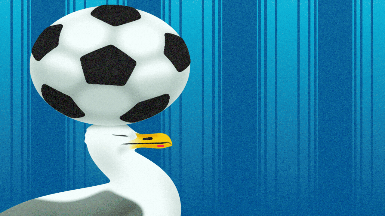 Animated illustration of a seagull bouncing a soccer ball on its head.