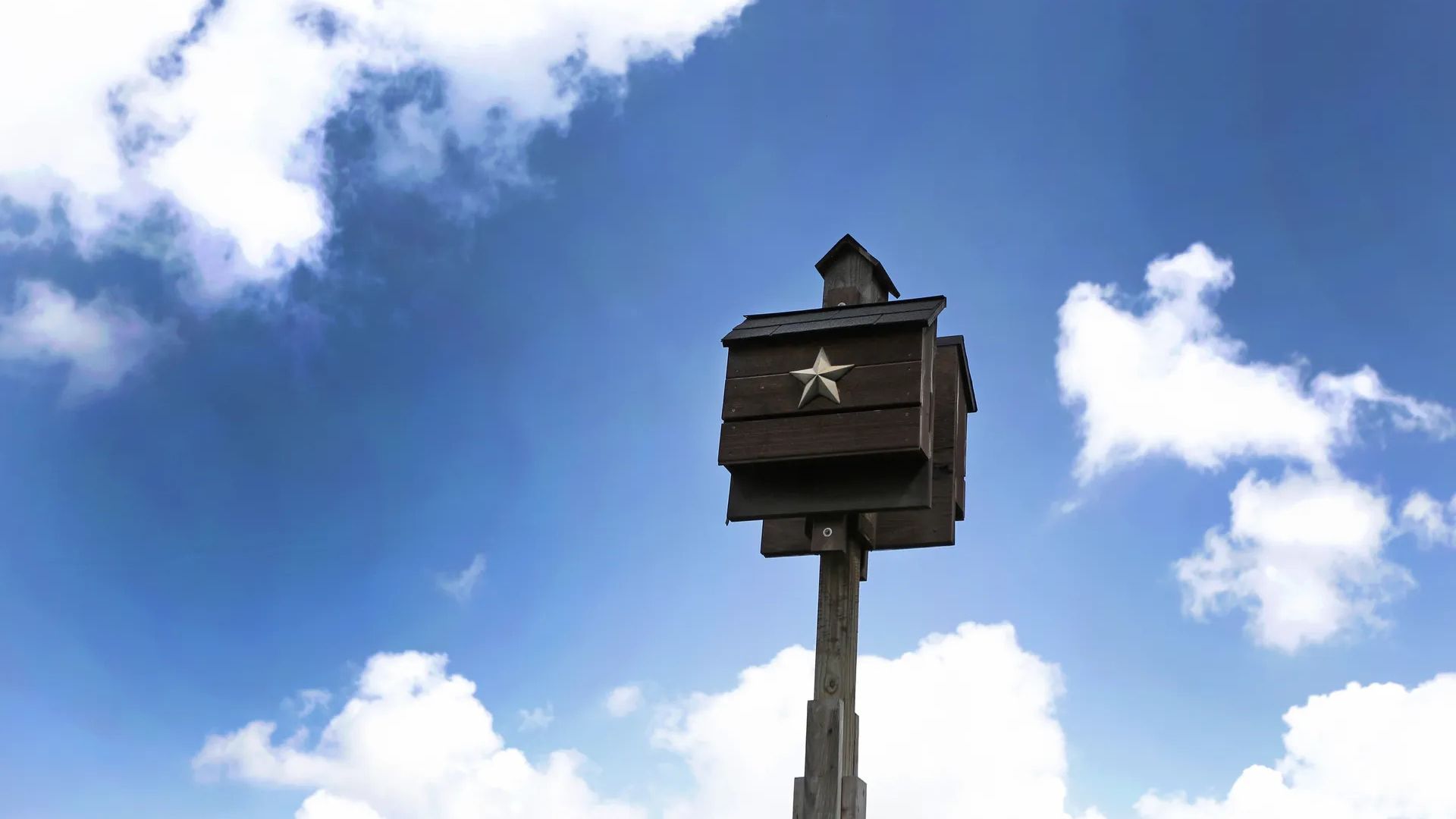A bat house can bolster the local population while helping with mosquito control. Photo: Steve Gonzales/Houston Chronicle via Getty Images
