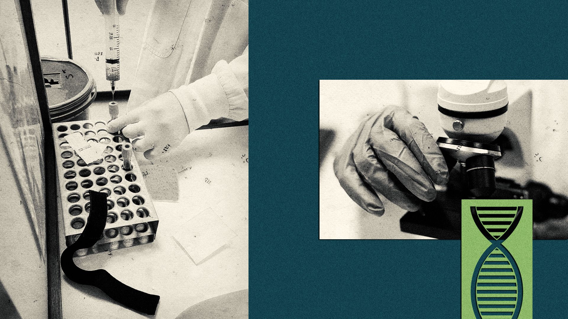 an illustration of blood testing, a microscope, and a cutout of a DNA strand