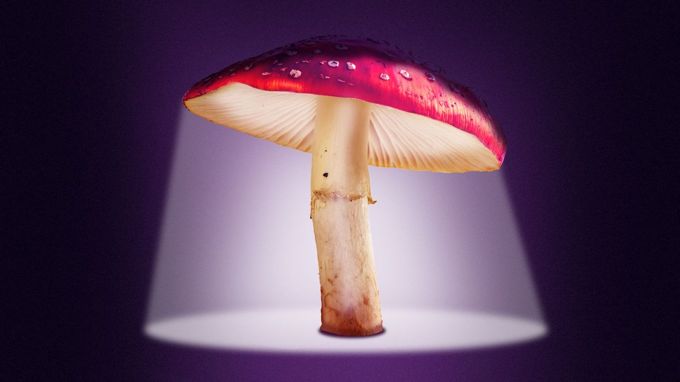 Mushrooms are the most commonly used psychedelic, study finds