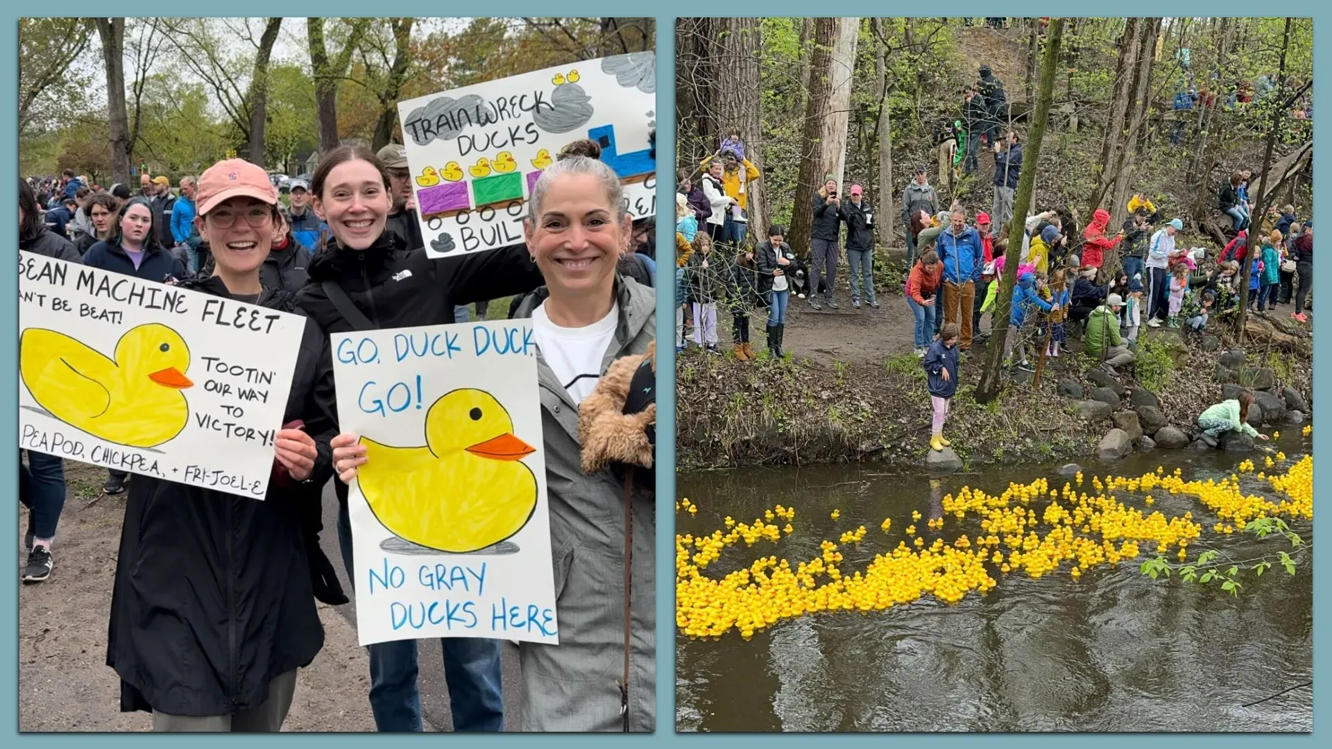 Two-panel collage: left shows three smiling women with protest signs featuring yellow rubber ducks; right shows a crowd along a wooded riverbank watching many yellow ducks float in the water.
