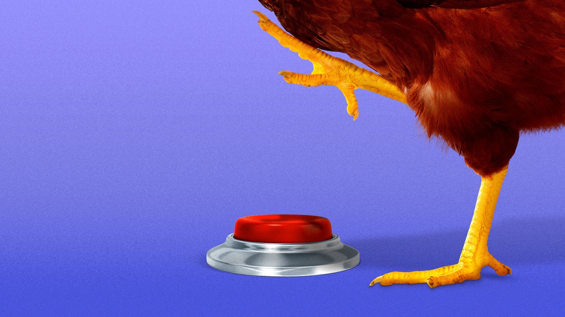Illustration of a chicken about to step on a red emergency button.