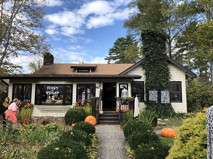 Funky Tulip Blowing Rock shopping