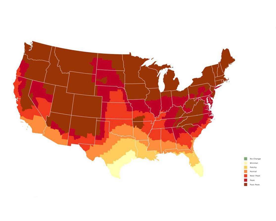 The best times to see fall foliage across Arkansas Axios NW Arkansas