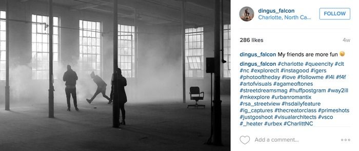 dingus falcon photographer