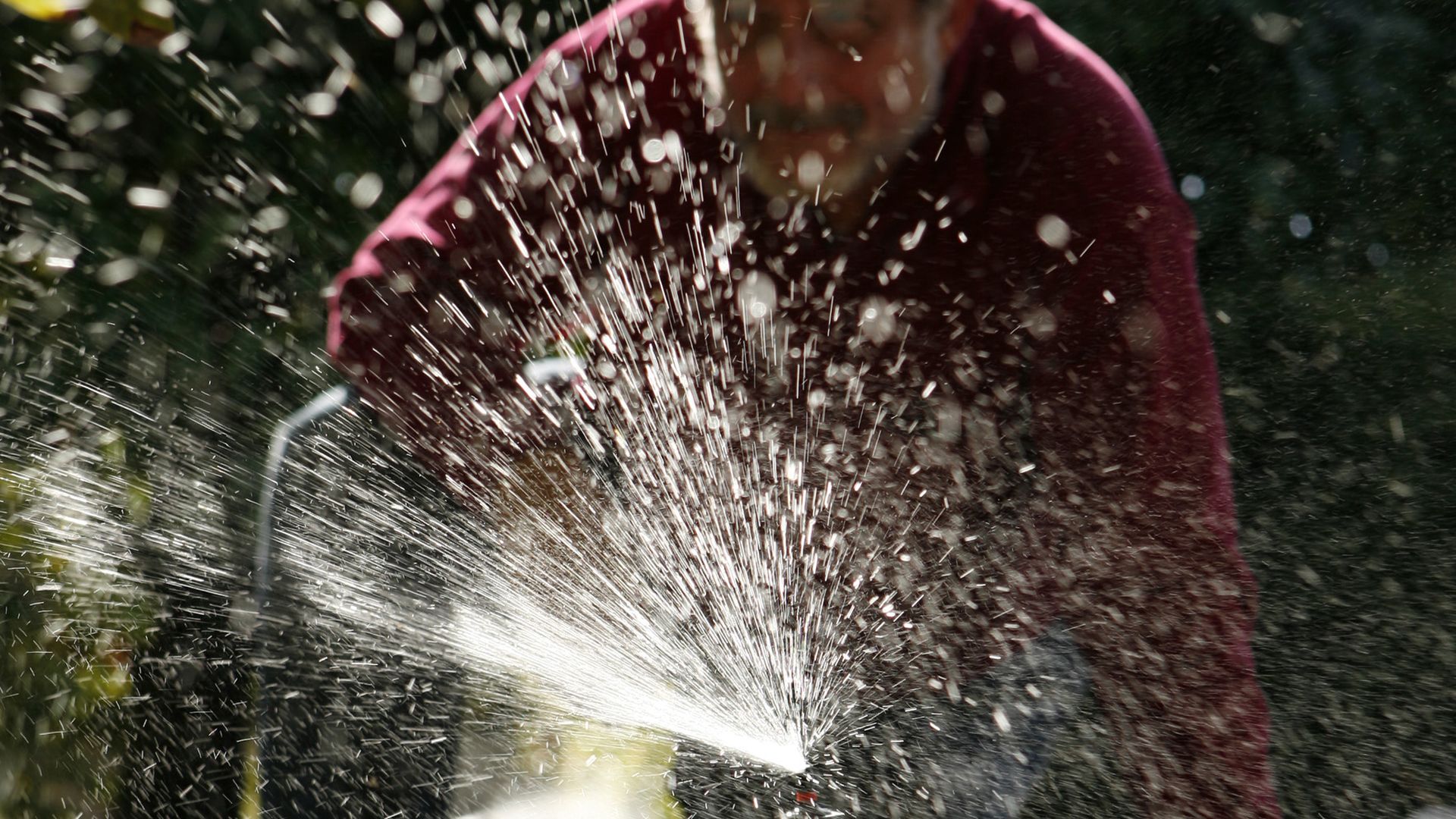 A Fallbrook avocado farmer