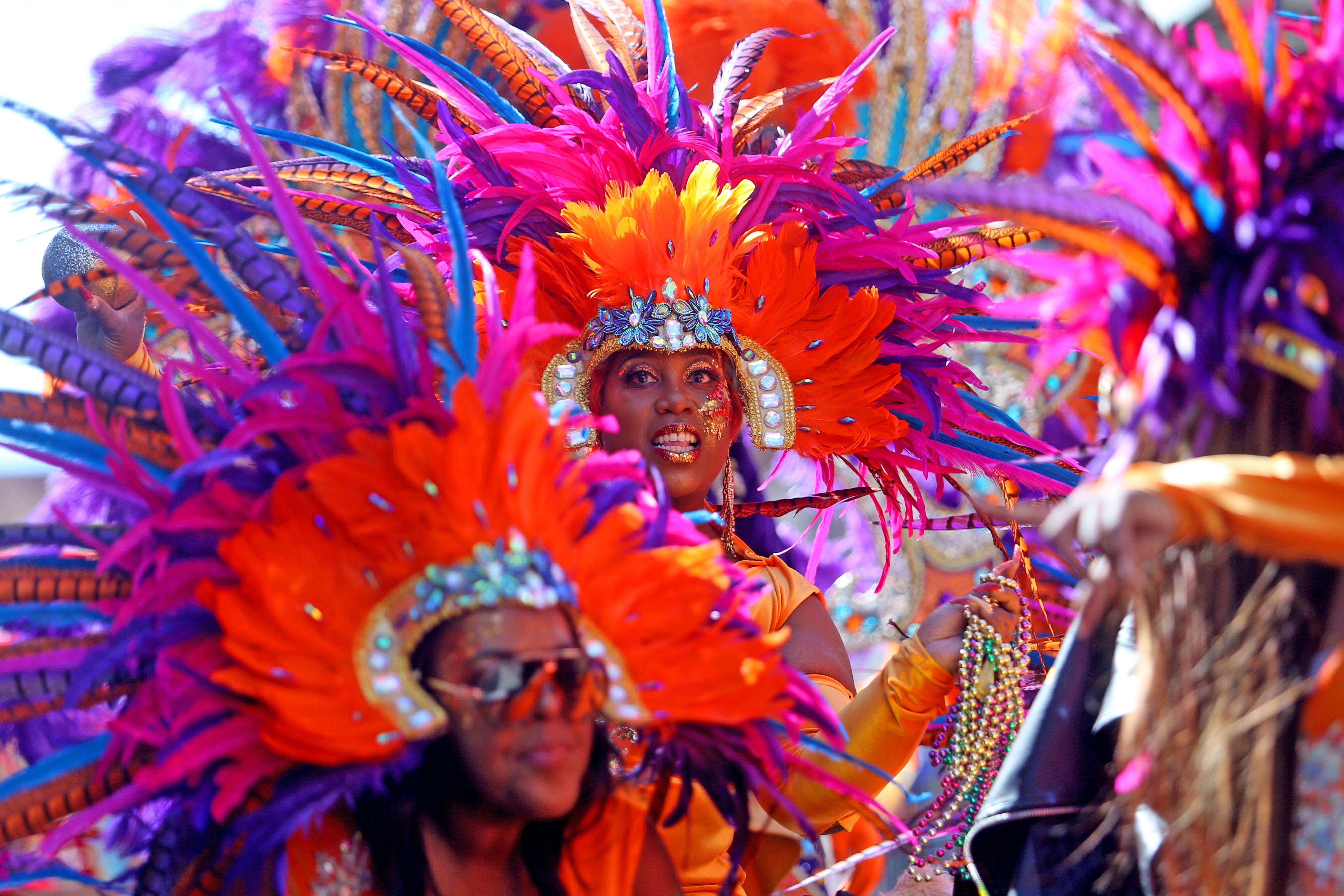 mardi gras livestream