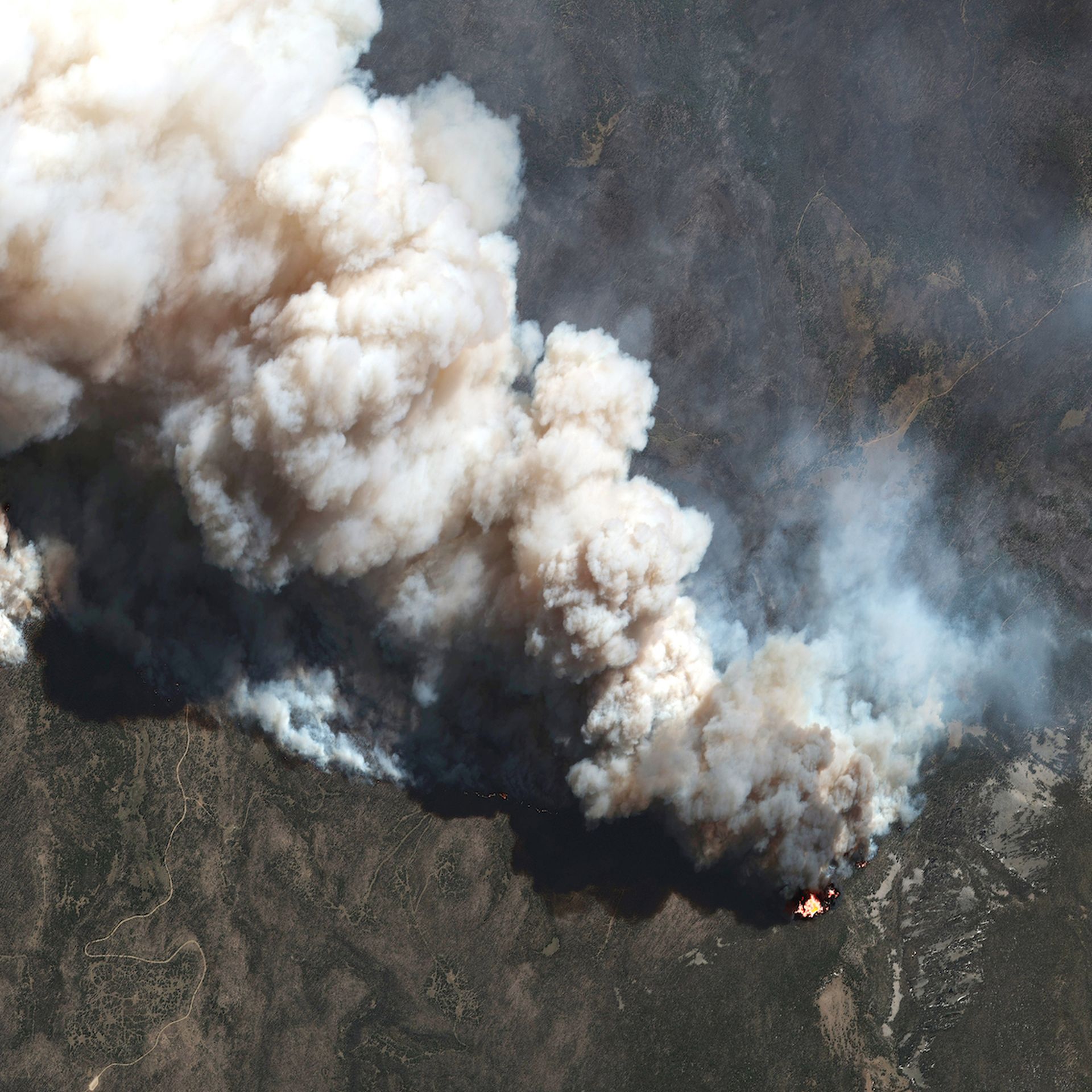 The Calf Canyon Wildfire seen from space on May 11, 2022.
