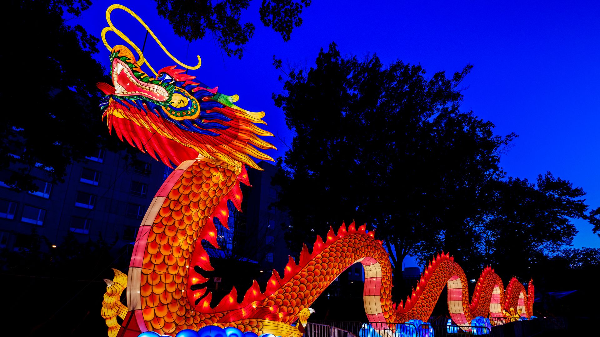 A dragon lantern at the Philadelphia Chinese Lantern Festival  