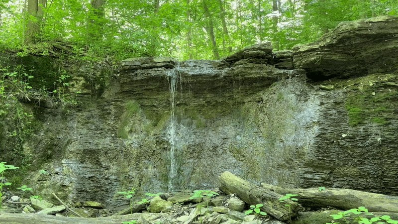 A small waterfall falling onto a brown rock surrounded by green trees.