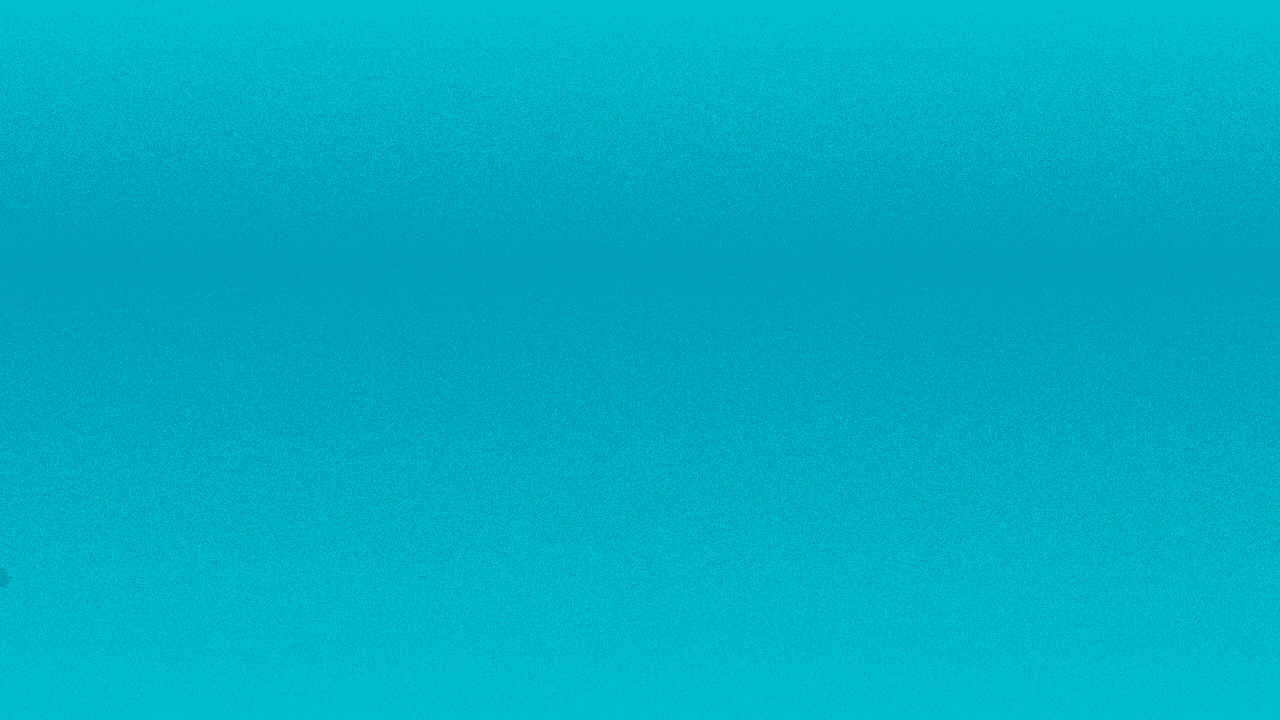 Animated illustration of 7 different Zs with arms and legs running.