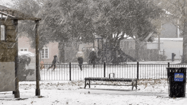 A family runs in the snow in a park.