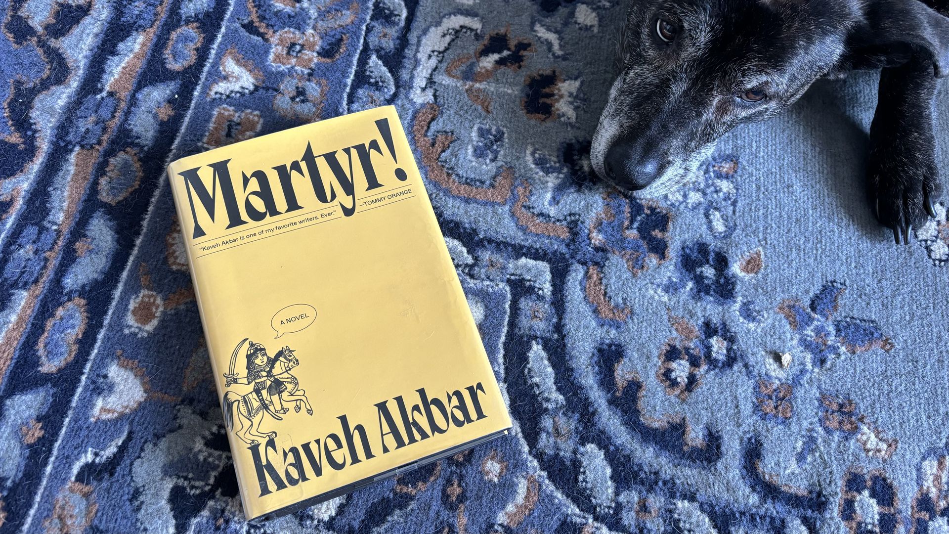 The book Martyr! with an adorable dog looking on 