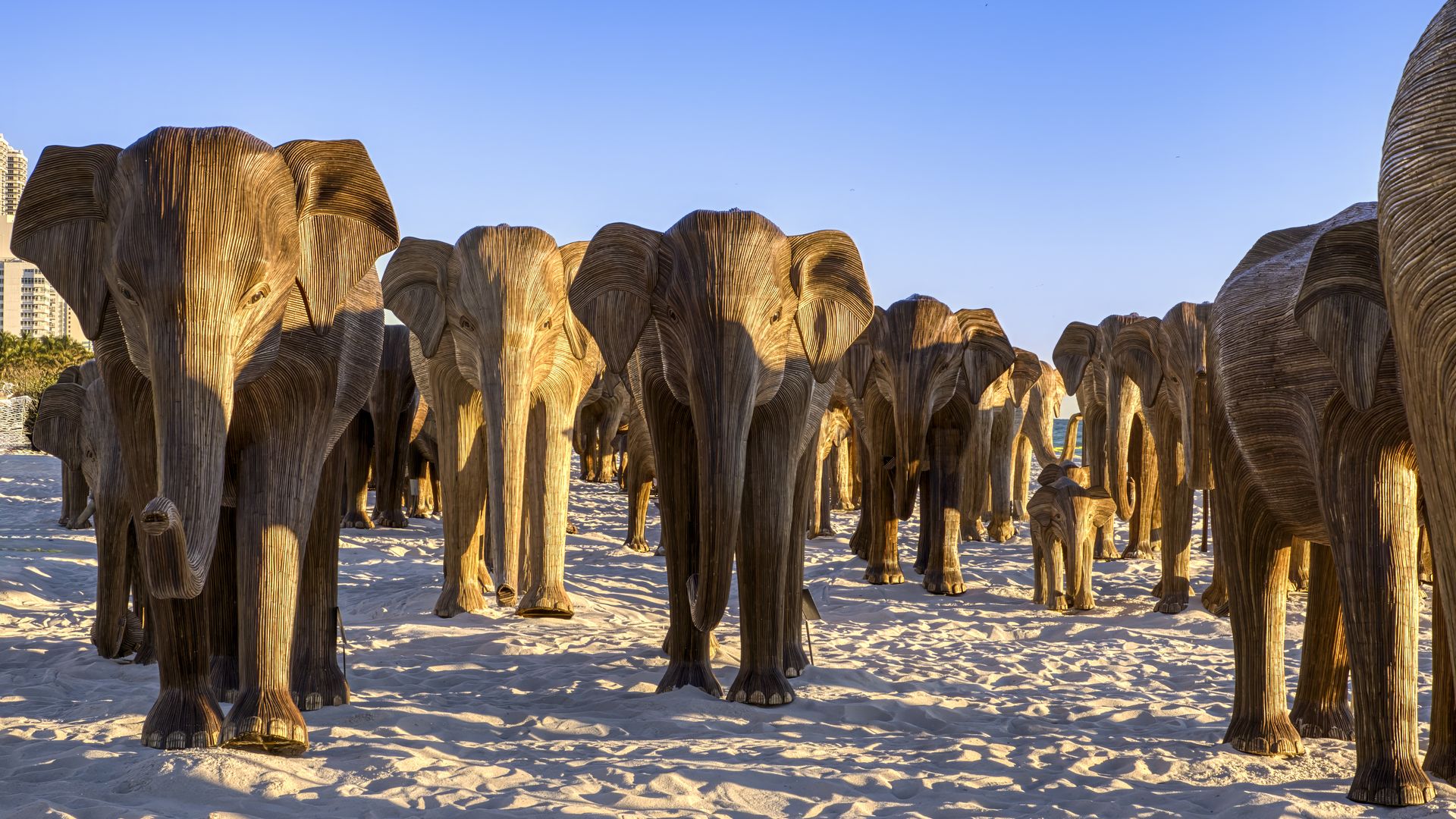 A herd of life-sized elephant sculptures on a beach