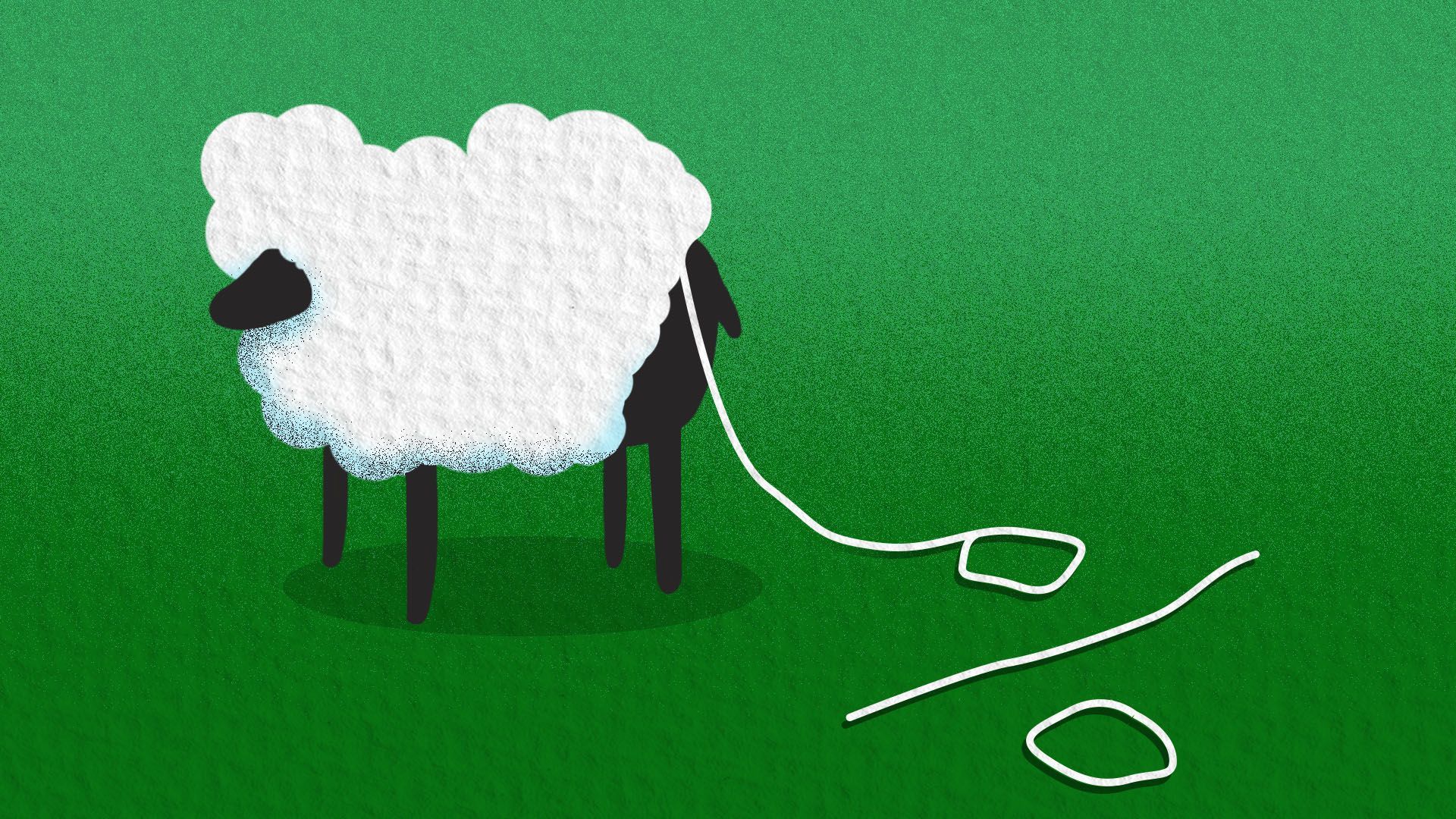 Illustration of a sheep losing it's wool in the shape of a percentage sign