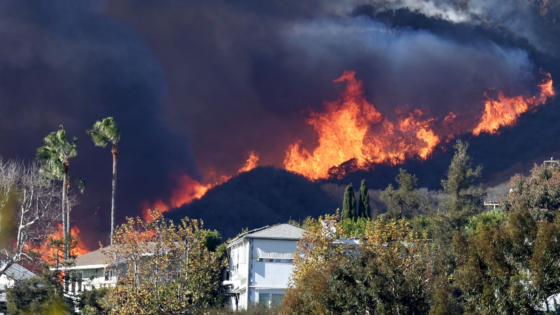 Powerful Santa Ana winds bring fire risk to San Diego Axios San Diego