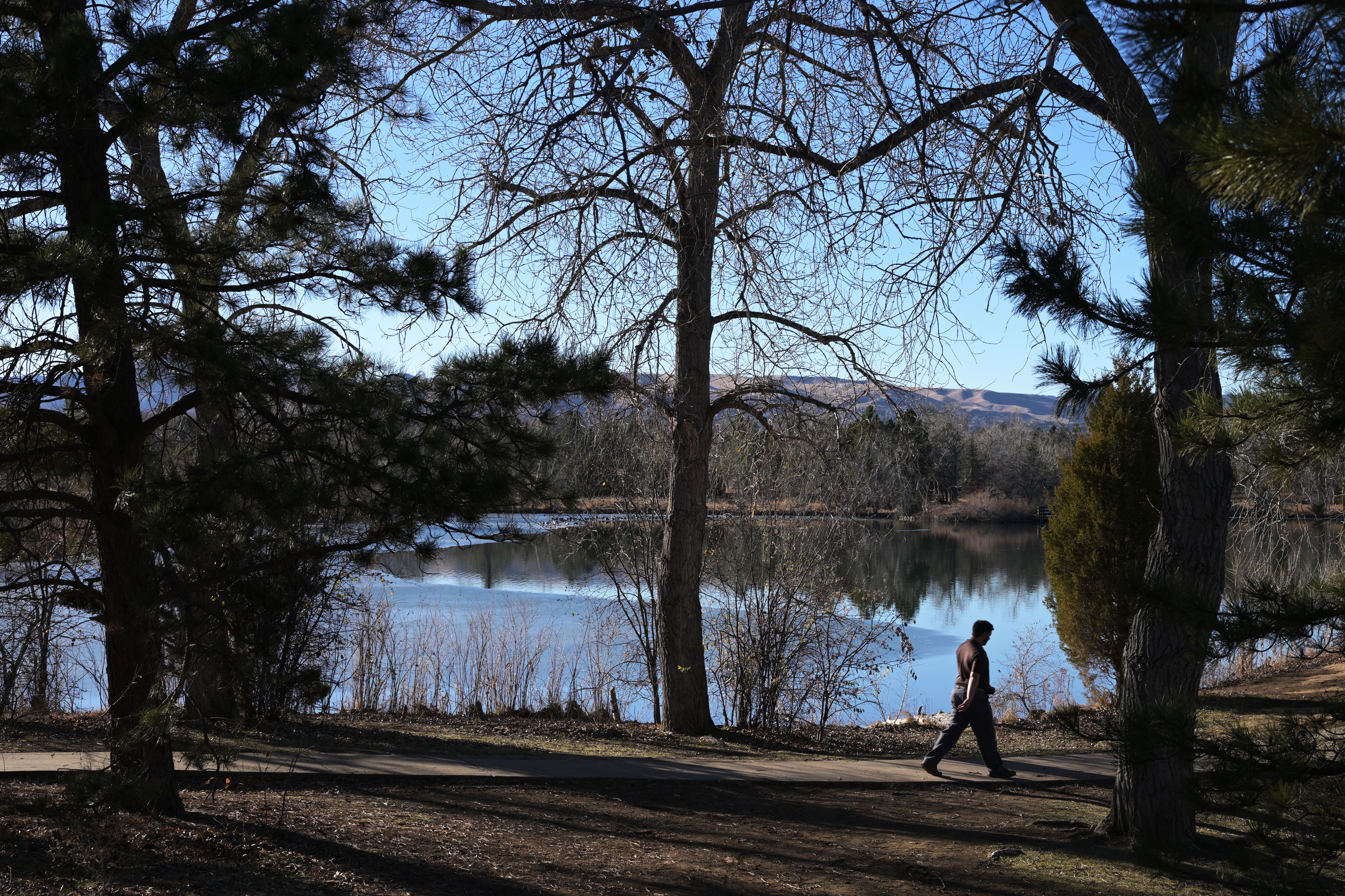 A man walks along a trail while surrounded by trees and a nearby lake. 