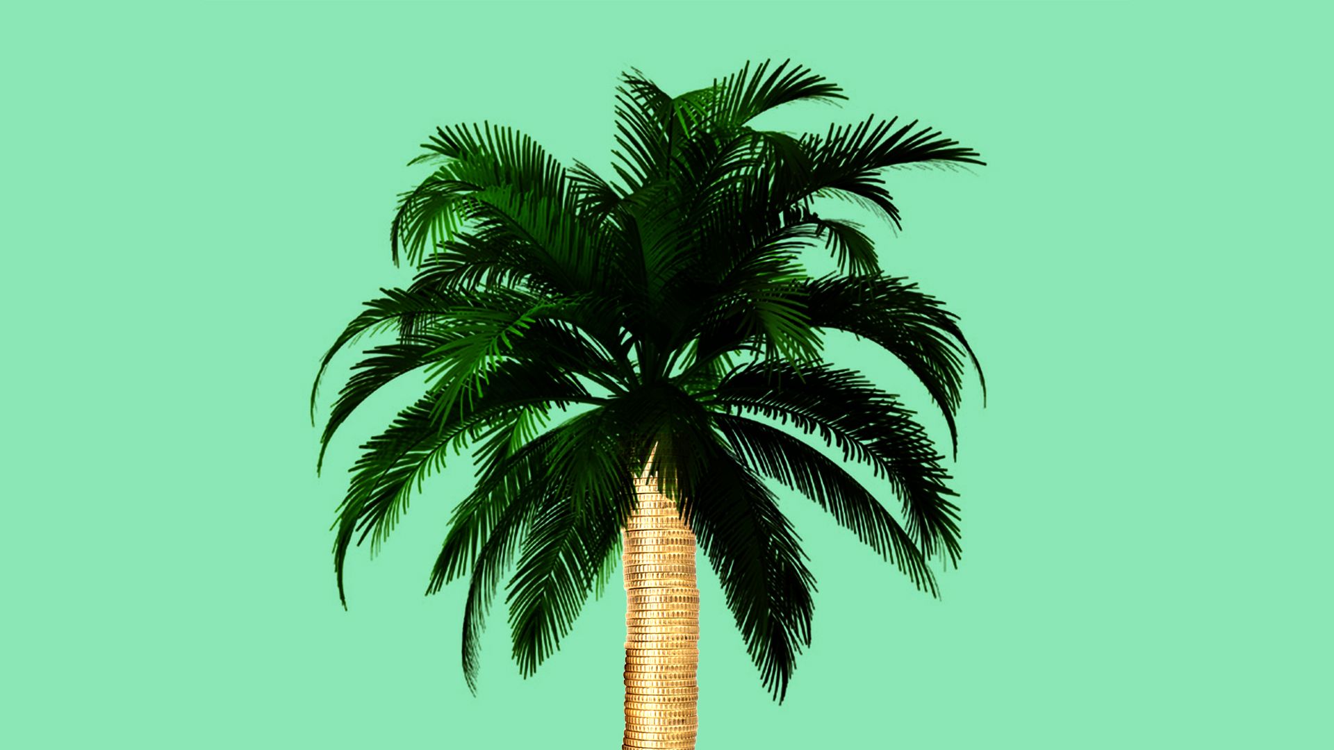 Illustration of a palm tree with a stack of gold coins as the trunk 