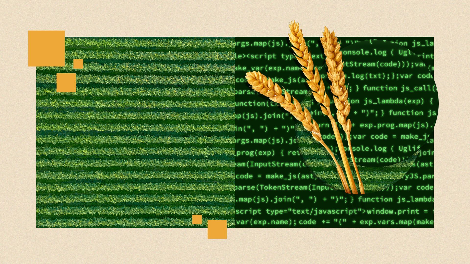 Illustrated collage of an aerial image of a crop in a field juxtaposed against lines of code, with pieces of wheat emerging from the code surrounded by abstract squares. 