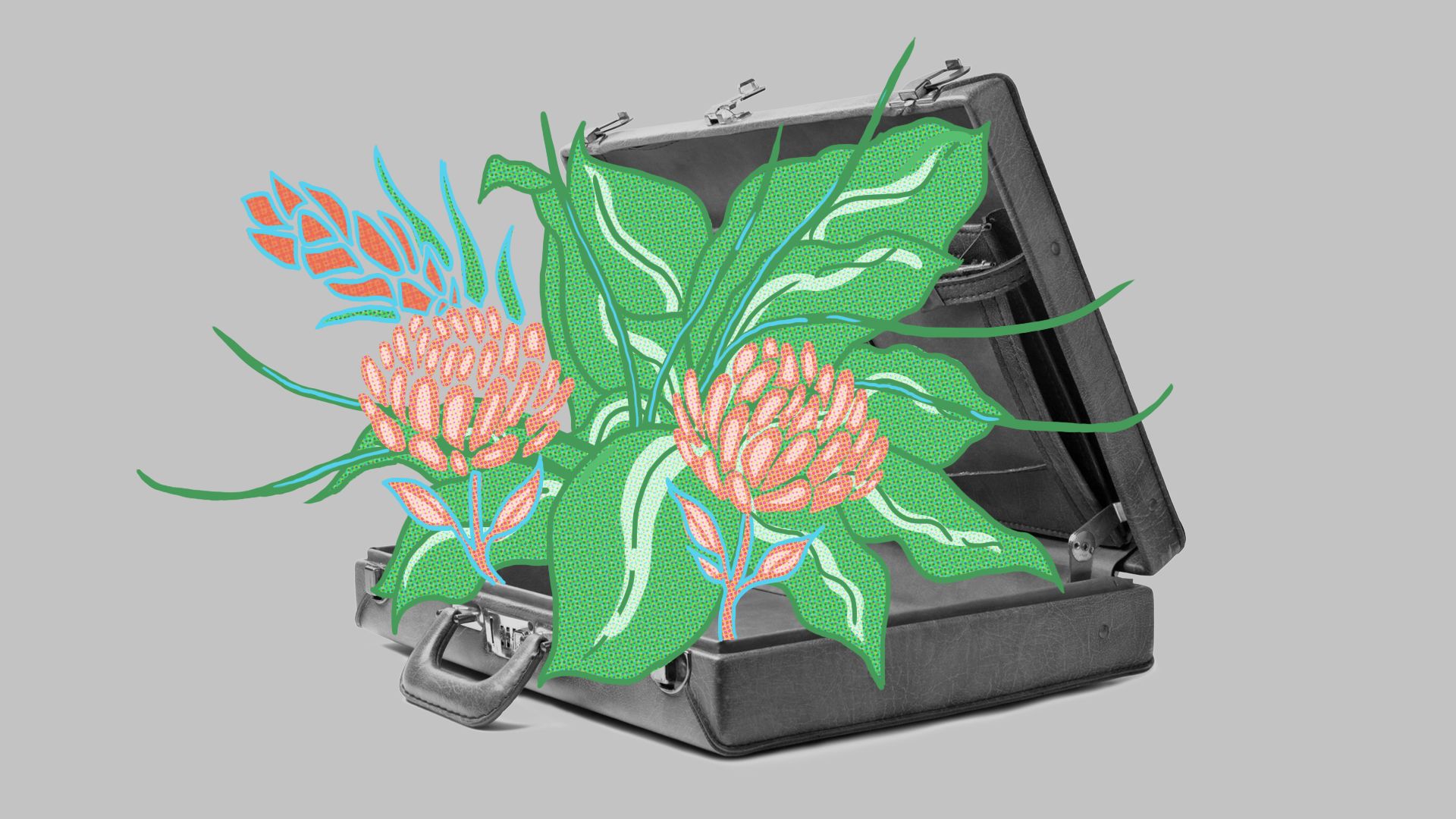 A briefcase with flowers sprouting from it. 