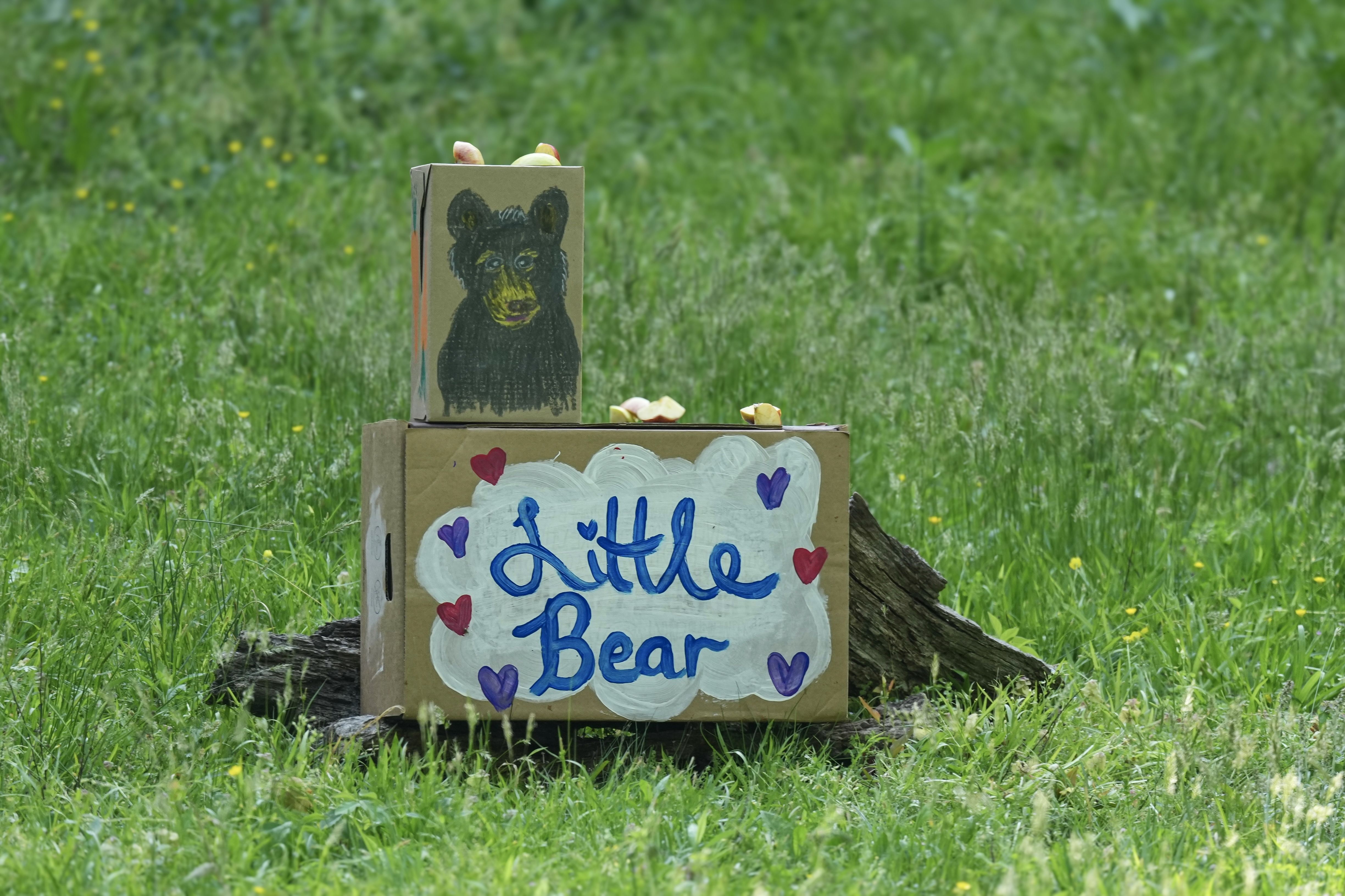 a cardboard box that says "little bear" with hearts around it and another cardboard box with a hand-drawn bear on it