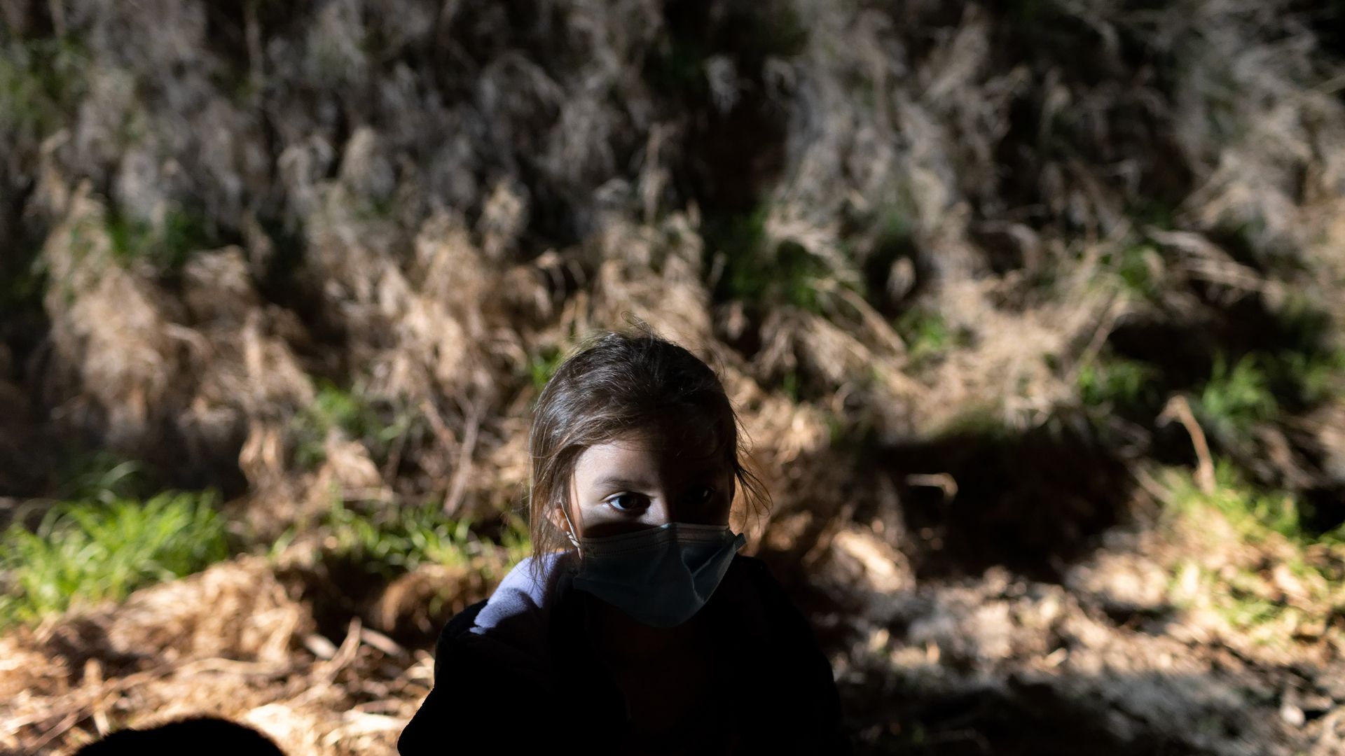 A young girl is hidden in shadow in the brush.