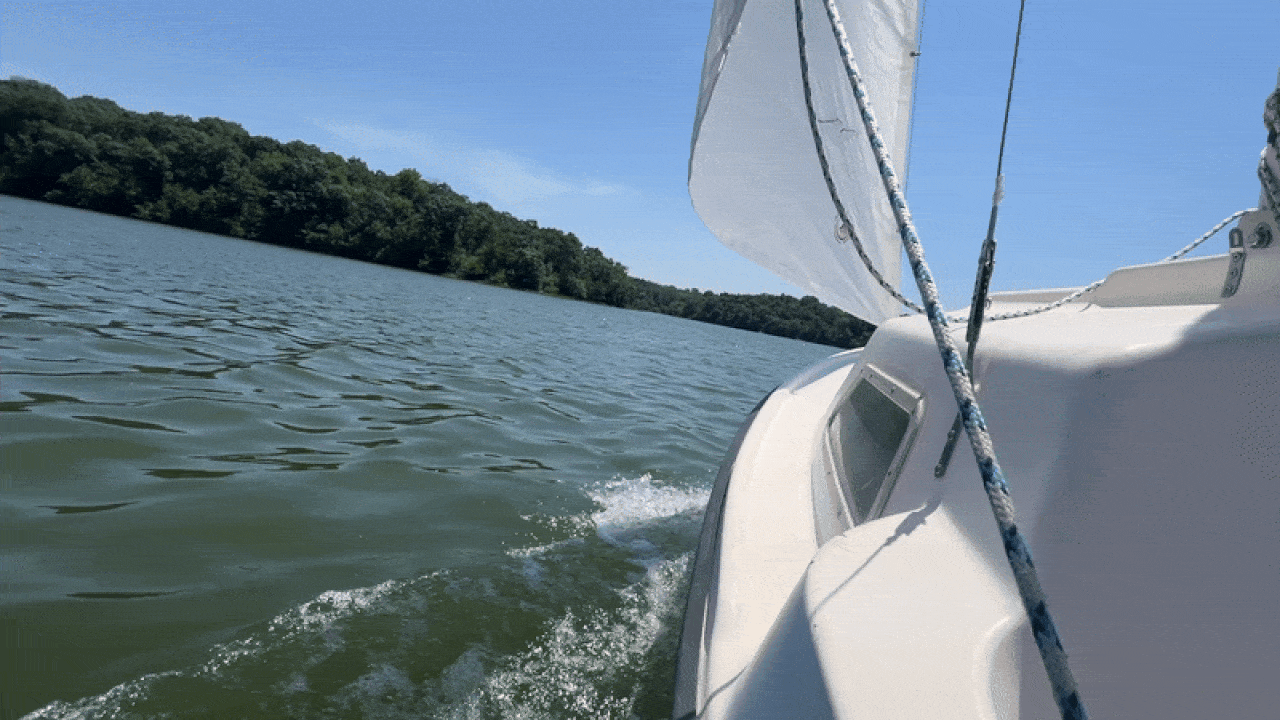 View from a white sailboat gliding through calm greenish water beside a dense, green forest under a clear blue sky.