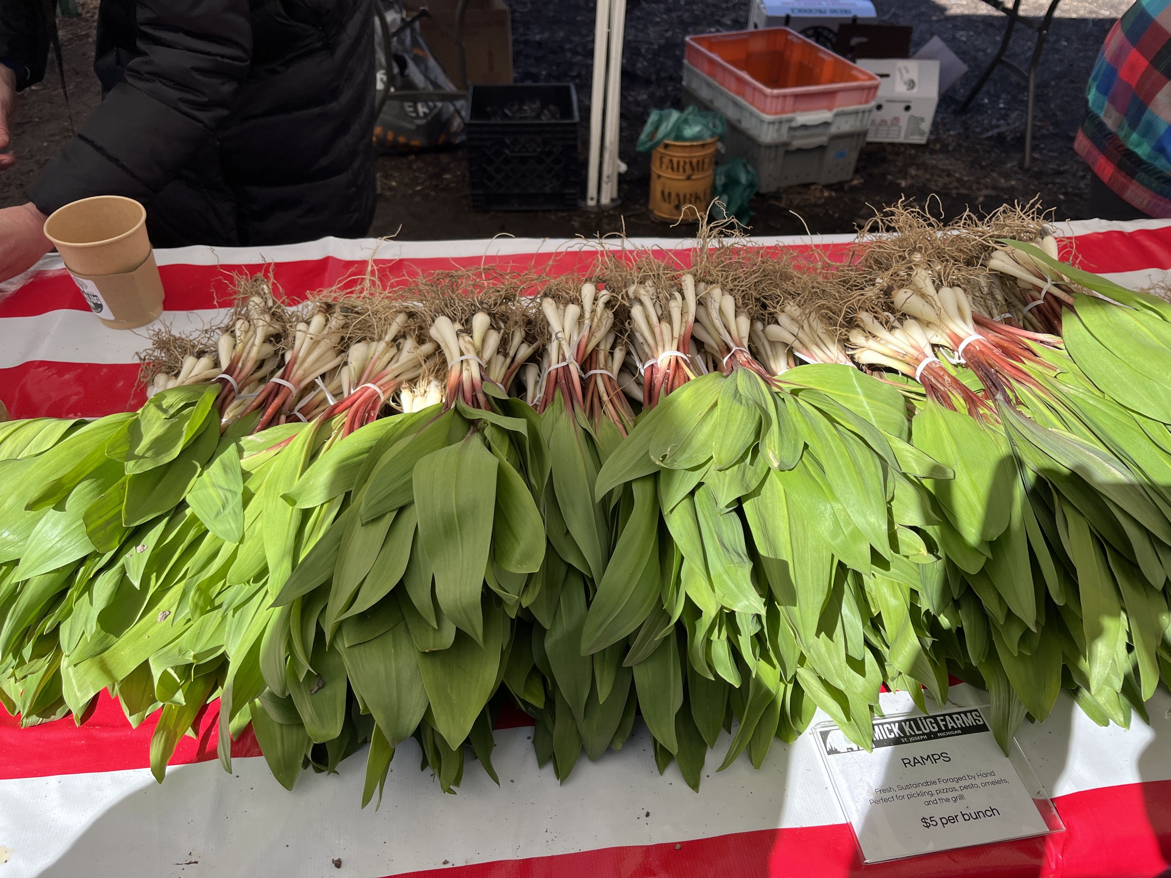 Photo of ramps on a table