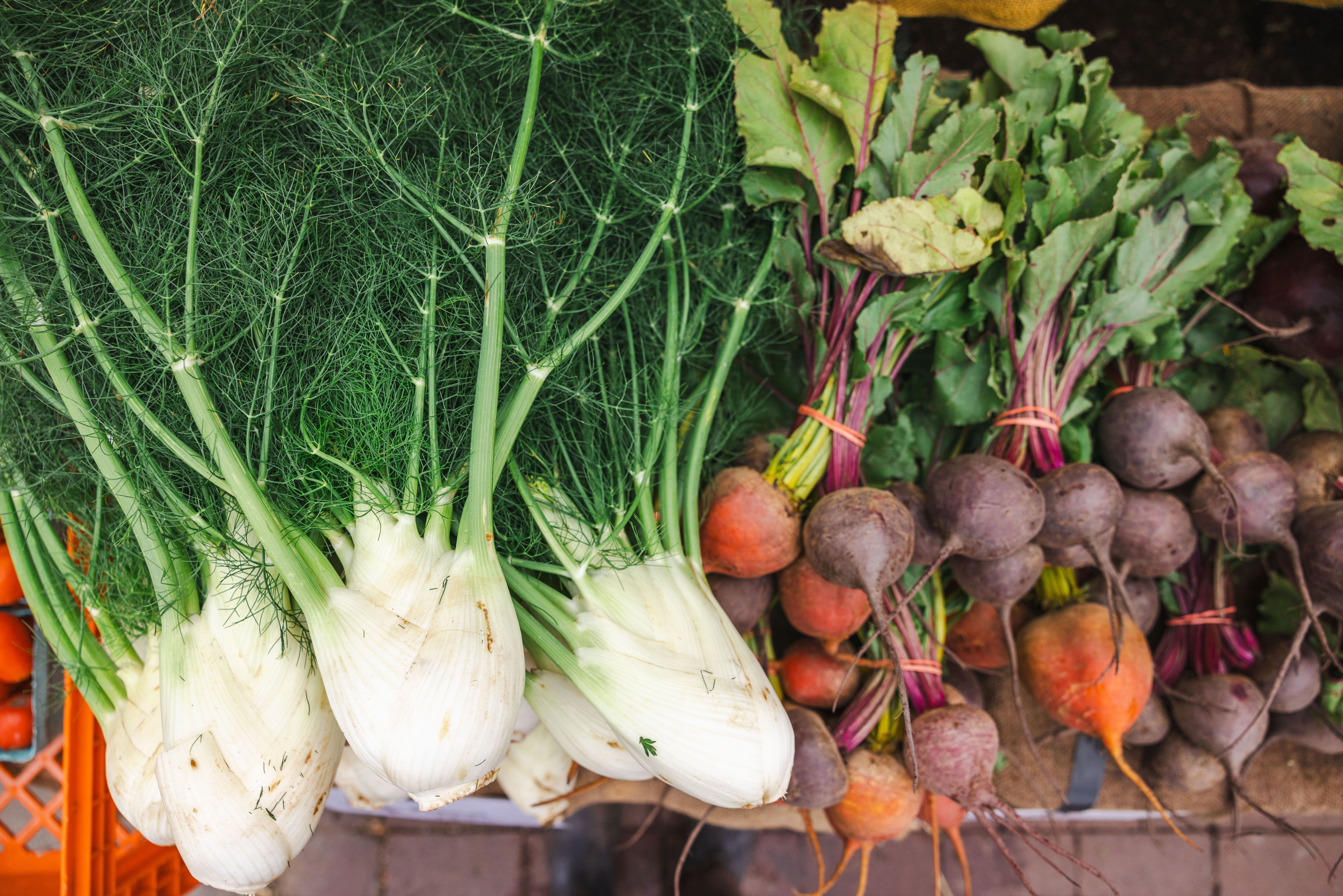 Final Wednesday market caps season of resilience