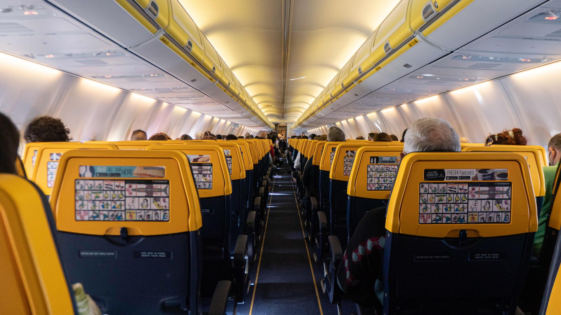 Photo of rows of airplane seats