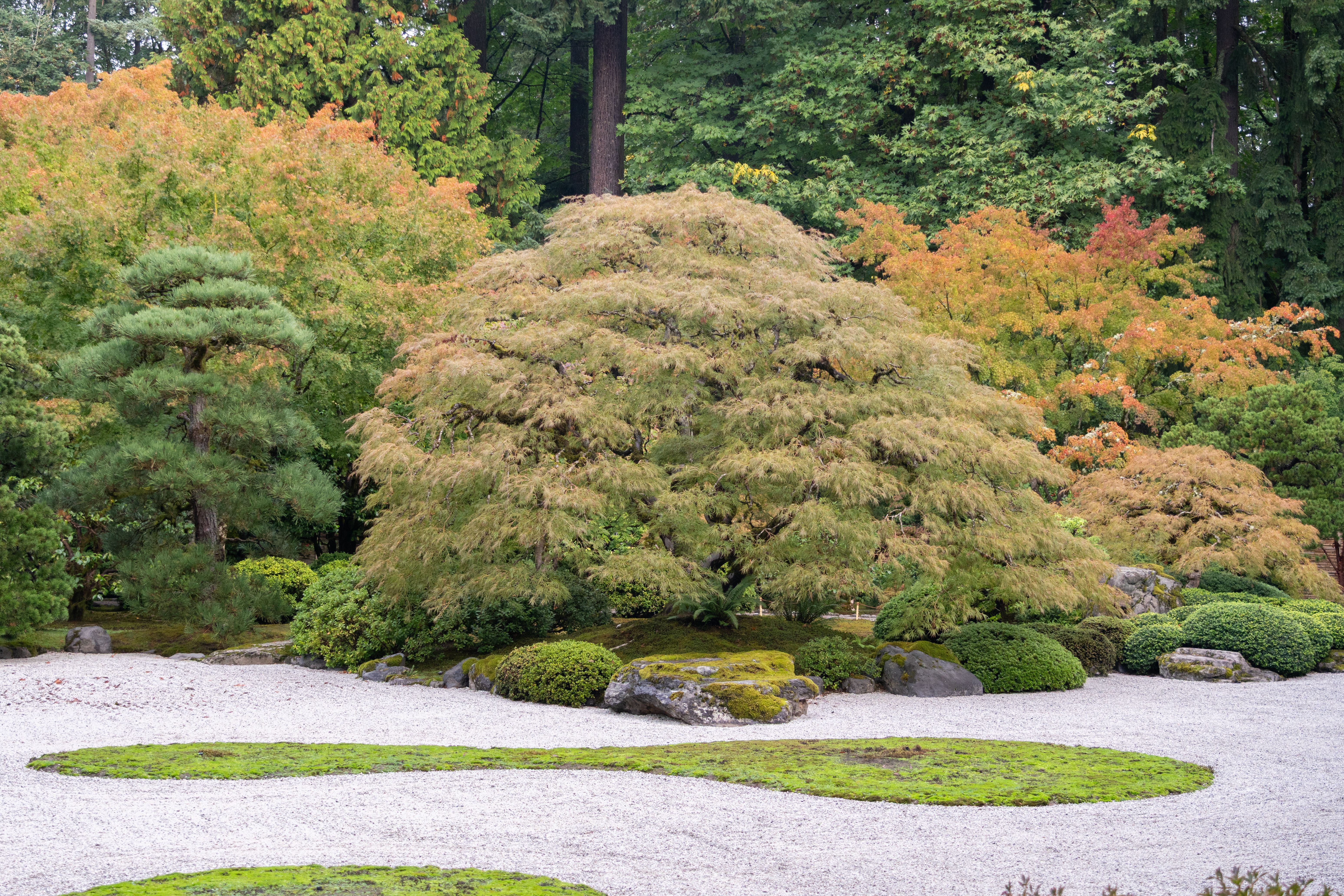 特売❗️リリパット269☆ ENGLISH GARDEN AUTUMN HUES 1760640554797.jpeg