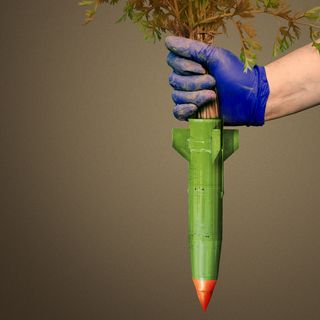 Fears of a food shock rise as midterms loom