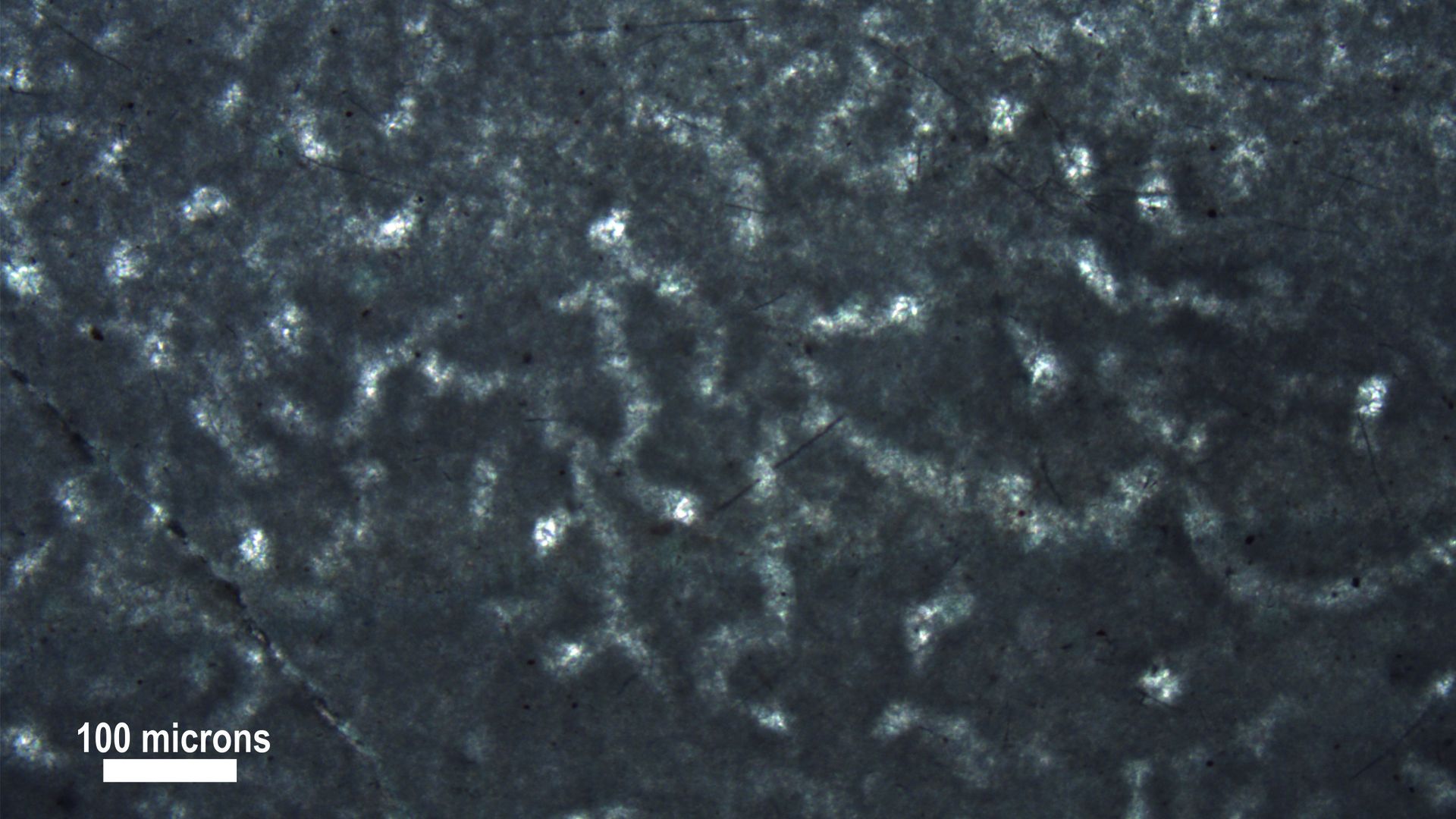Microscope image of wormlike structures in putative fossils of ancient sea sponges