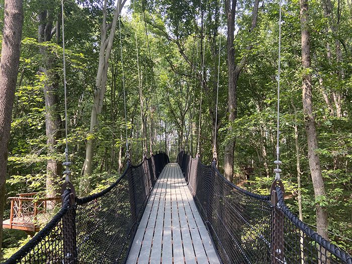 One of two new swinging bridges at the Whitewater Center. Photo: Ashley Mahoney/Axios
