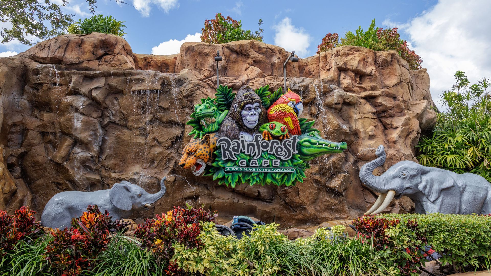 Sign for the Rainforest Cafe theme restaurant in Disney Springs at Disney World in Orlando, Florida, USA. (Photo by: Ron Buskirk/UCG/Universal Images Group via Getty Images)