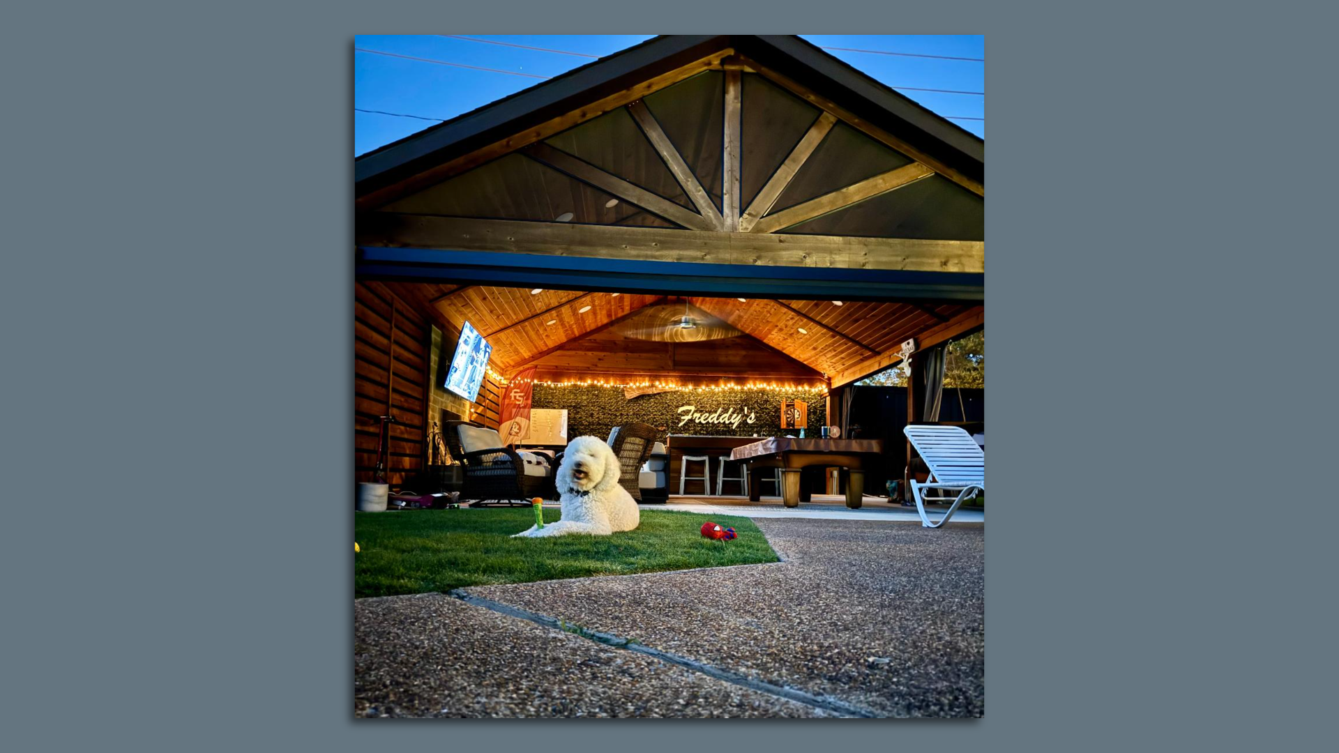 a dog lying in front of a pool house that reads "Freddy's"