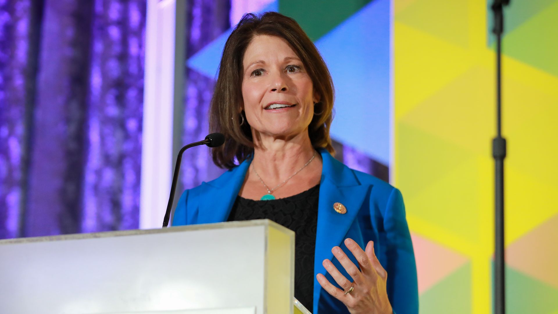 Cheri Bustos