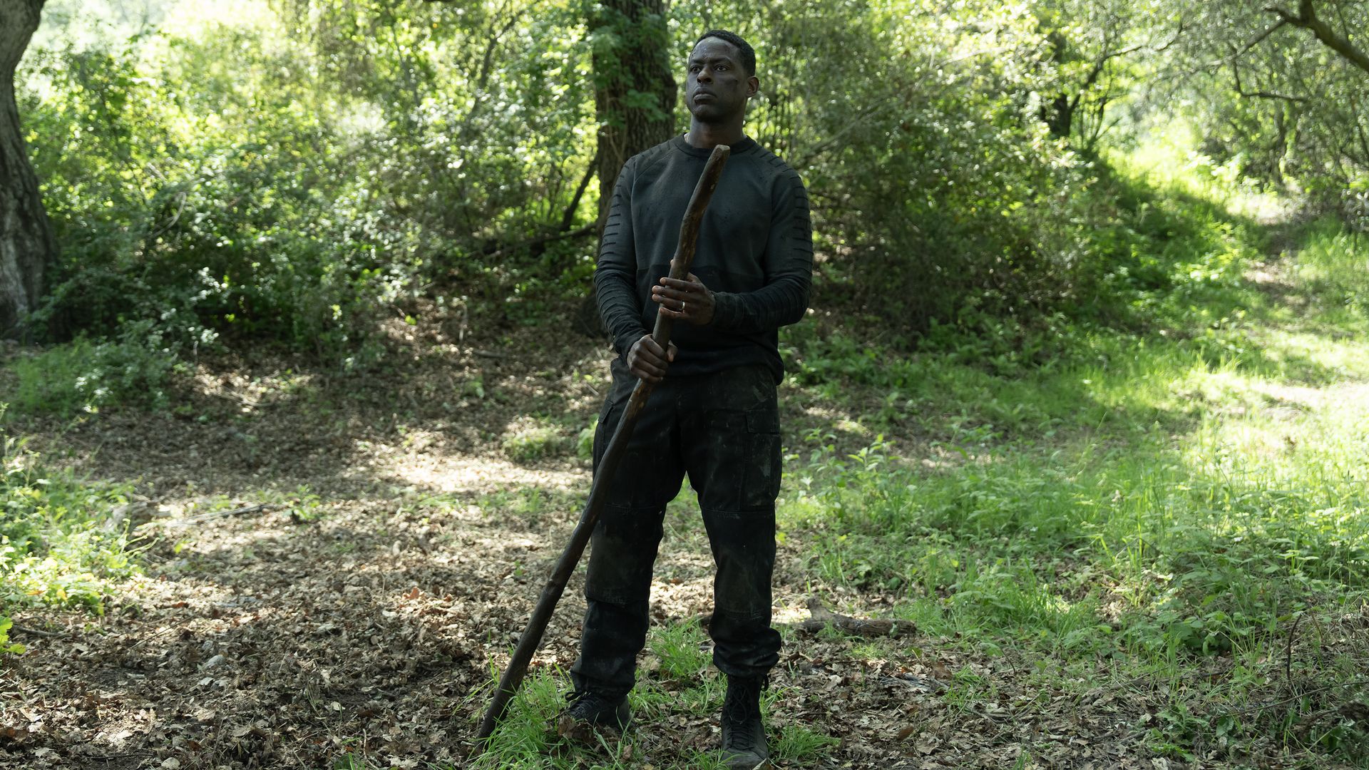 A man in black clothing stands in a sunlit green forest holding a long wooden stick, surrounded by trees and leafy ground.