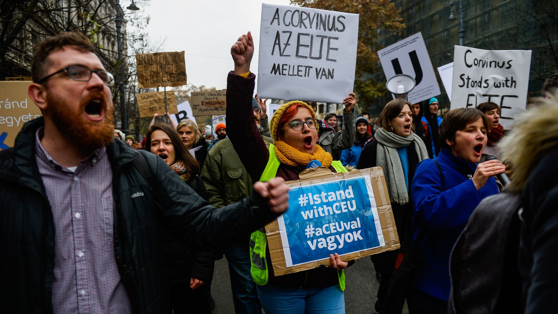 Protestors in Hungary