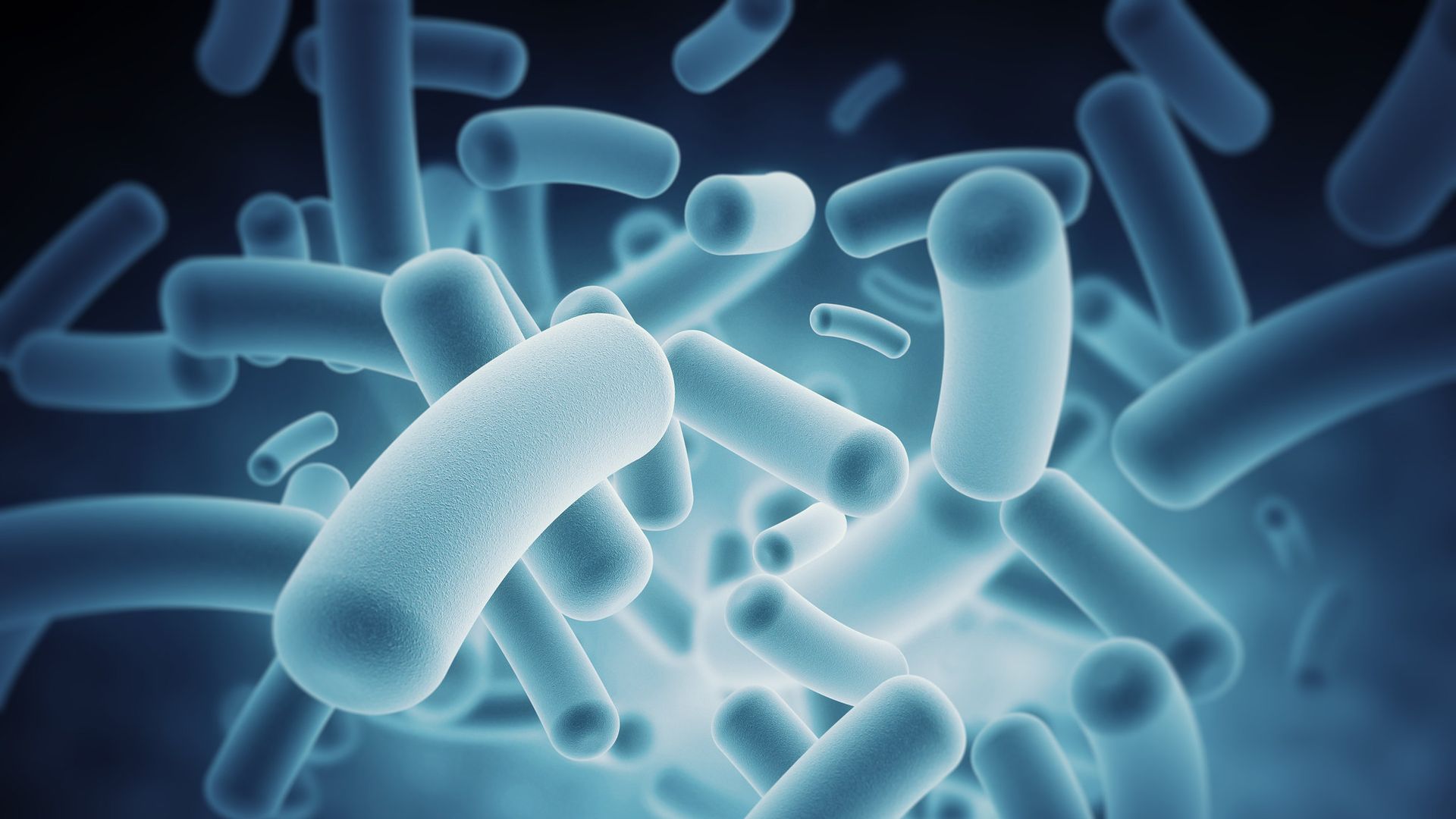 Photo of gut microbes from IBM