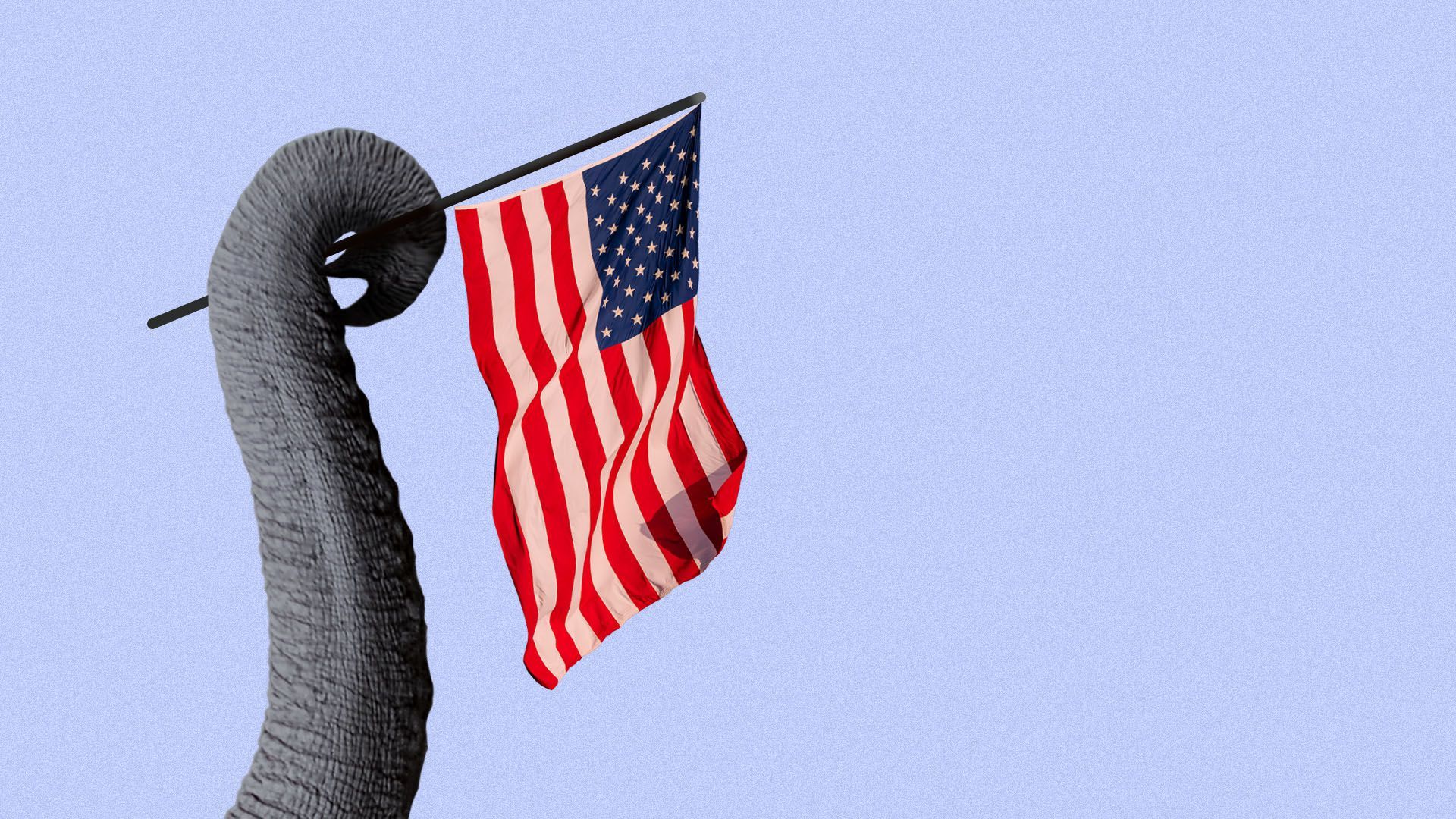 Illustration of an elephant trunk holding an American flag